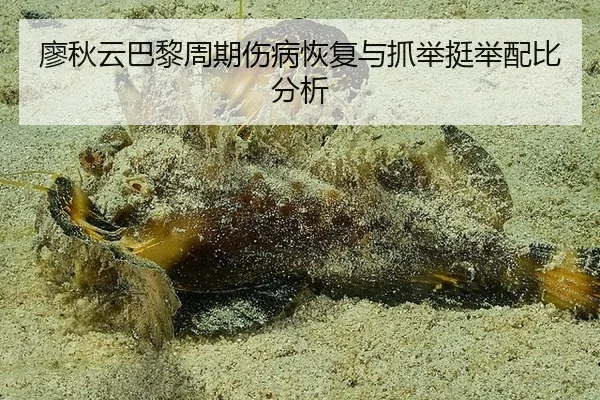 liao-qiu-yun-ba-li-zhou-qi-shang-bing-hui-fu-yu-zhua-ju-ting-ju-pei-bi-fen-xi-3-732.jpg