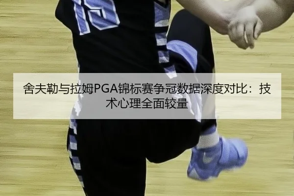 舍夫勒与拉姆PGA锦标赛争冠数据深度对比：技术心理全面较量