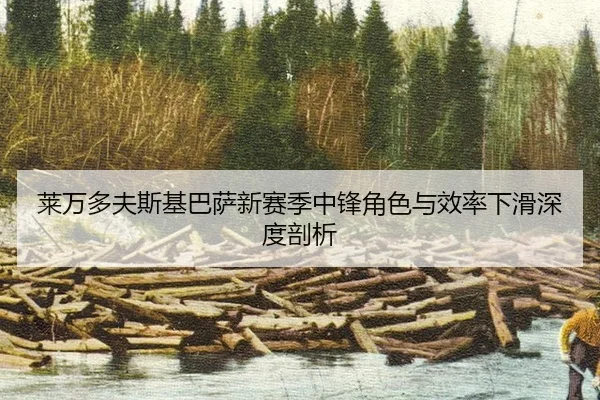 lai-wan-duo-fu-si-ji-ba-sa-xin-sai-ji-zhong-feng-jue-se-yu-xiao-lv-xia-hua-shen-du-pou-xi-2-981.jpg