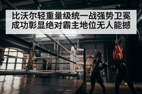 boxer training